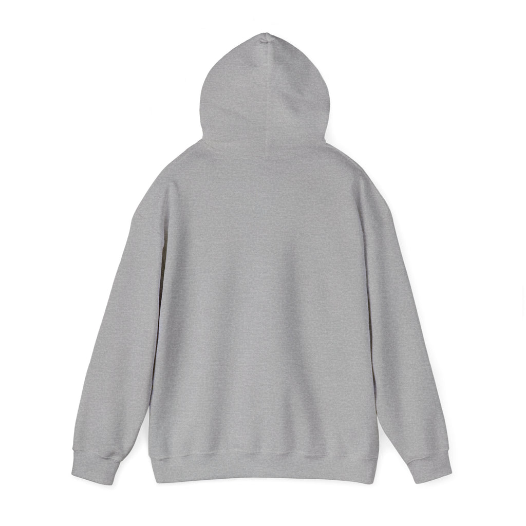 Hoodie - "Fear Is Not My Future" Inspirational Graphic Hooded Sweatshirt
