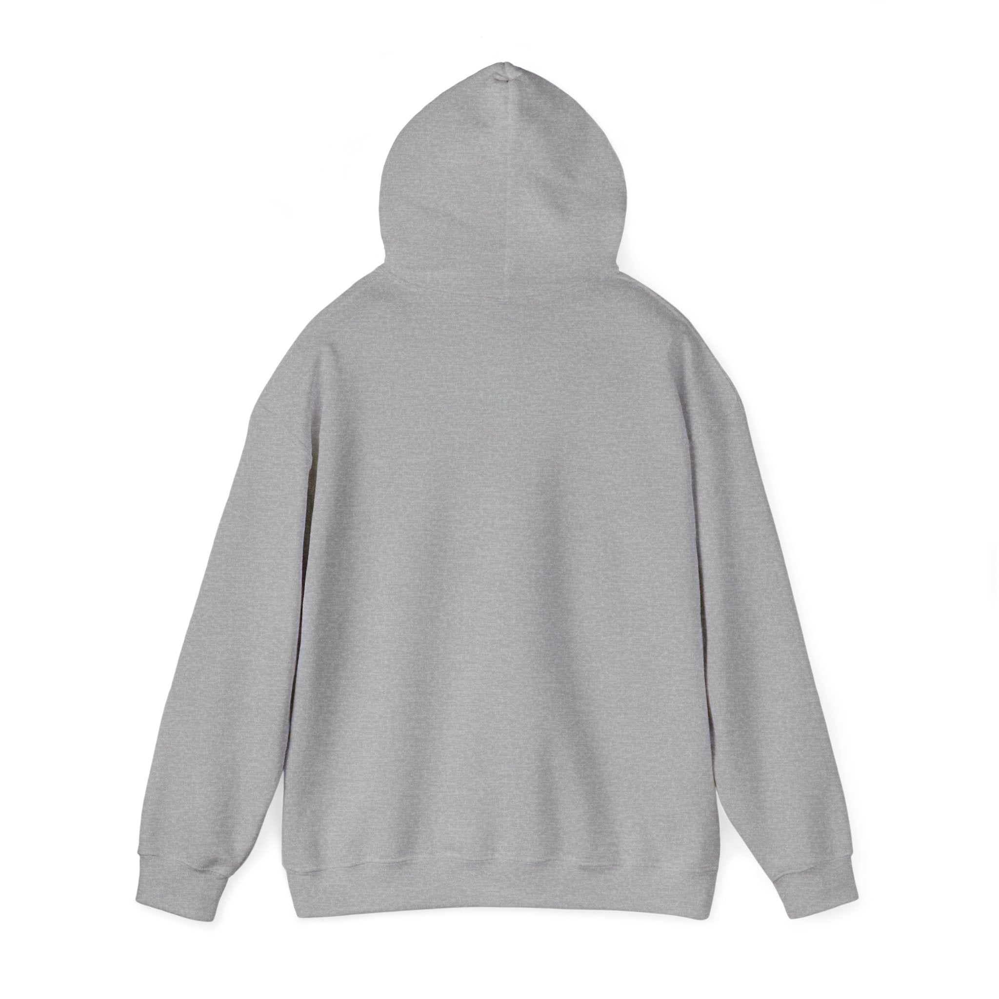 Hoodie - "Fear Is Not My Future" Inspirational Graphic Hooded Sweatshirt