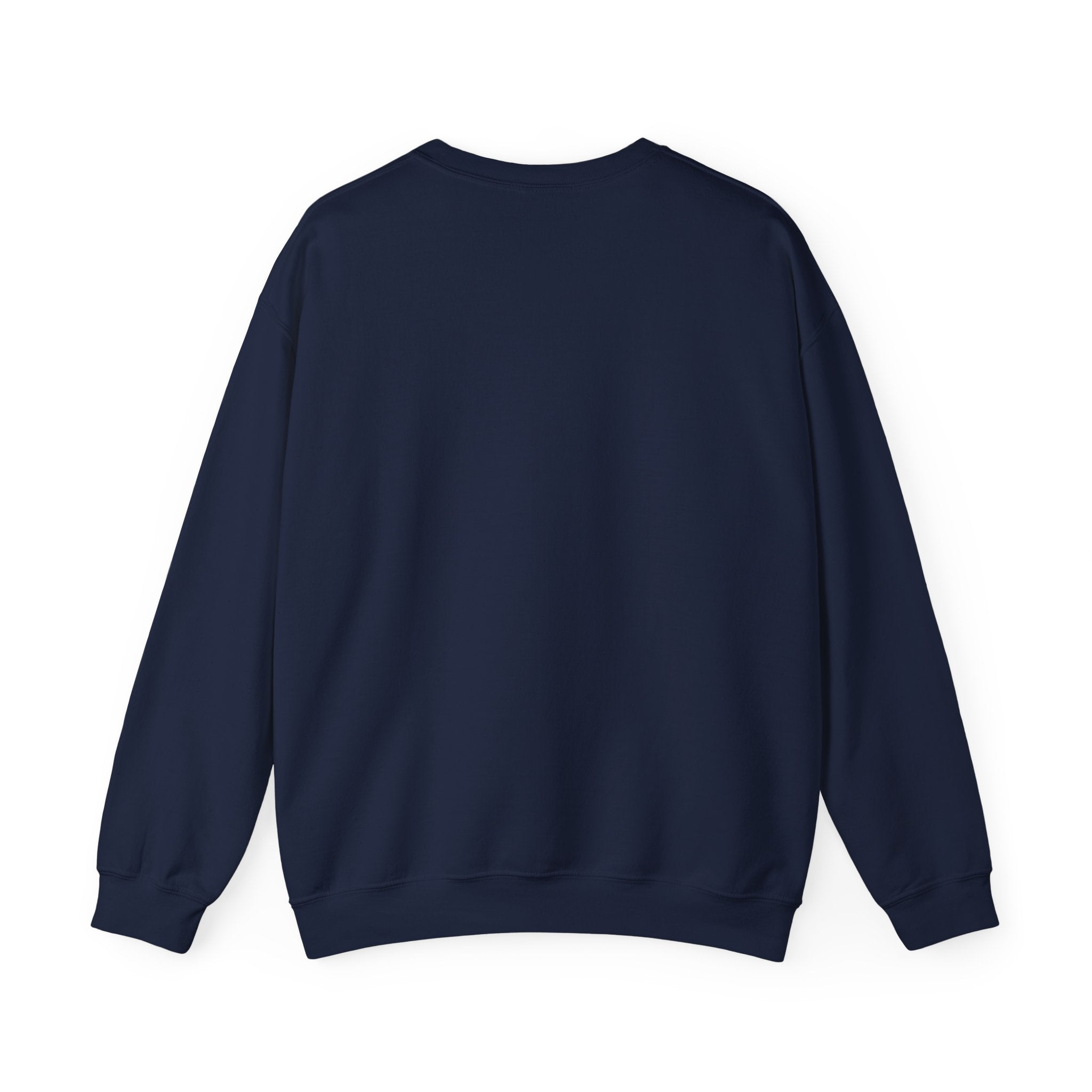 Fear Is Not My Future Sweatshirt — Inspirational Crewneck for Hope & Recovery