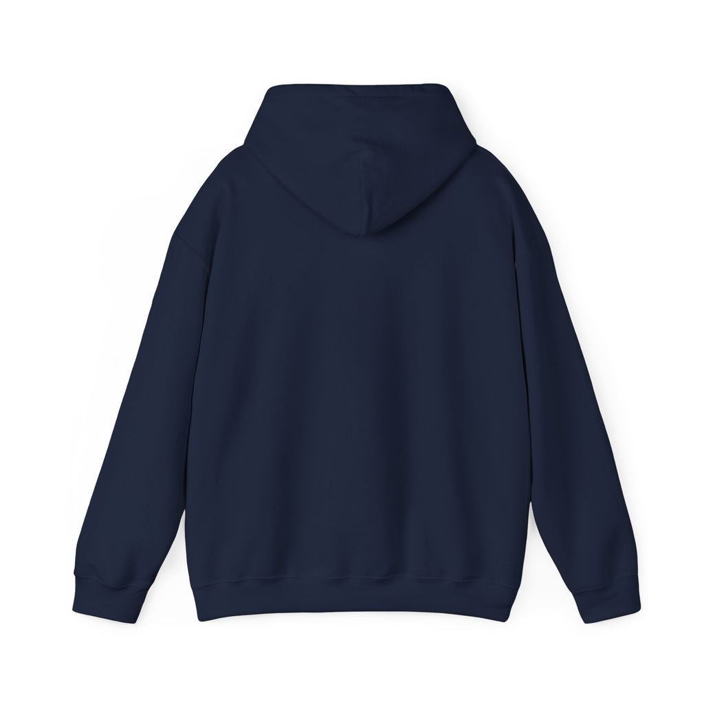 Hoodie - "Fear Is Not My Future" Inspirational Graphic Hooded Sweatshirt