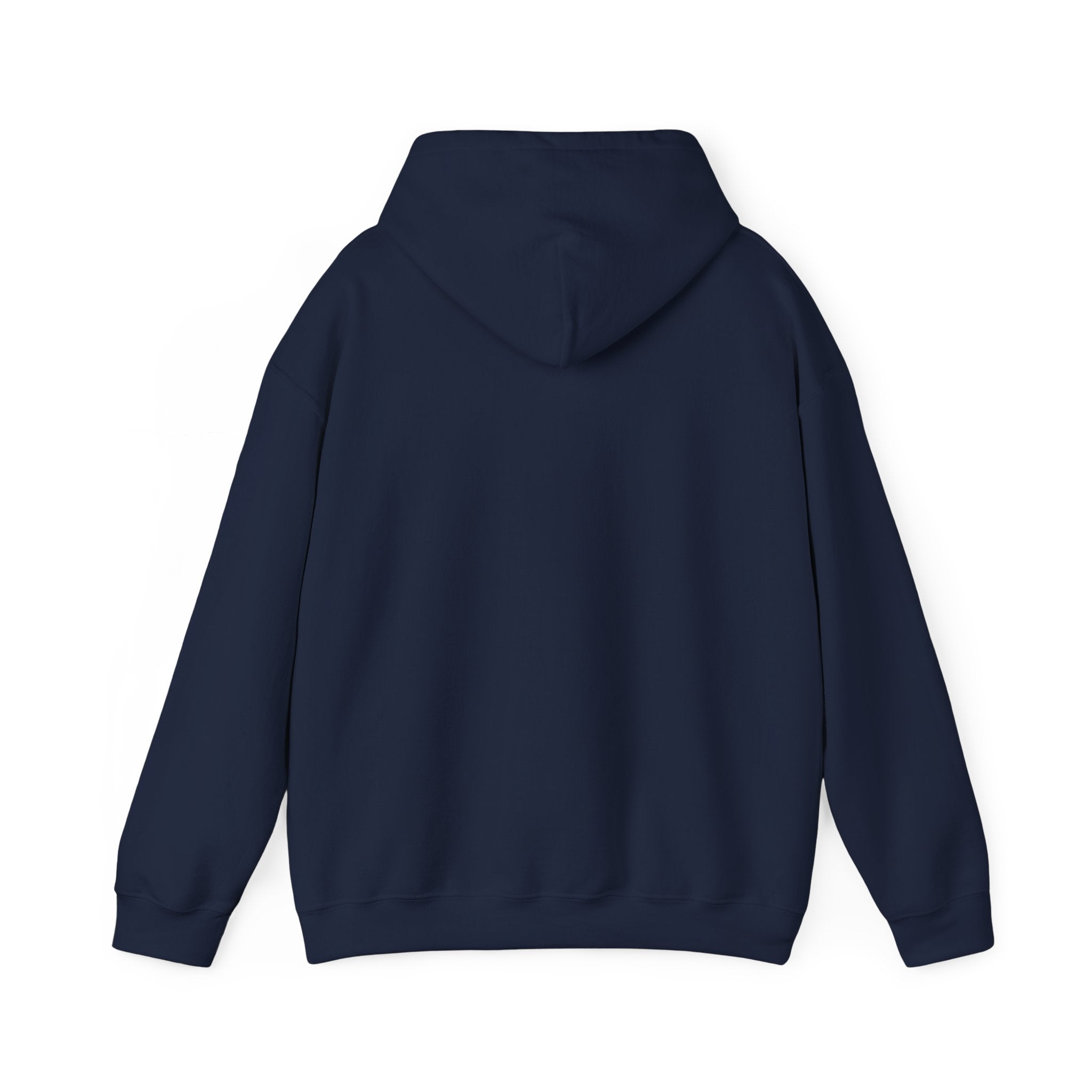 Hoodie - "Fear Is Not My Future" Inspirational Graphic Hooded Sweatshirt