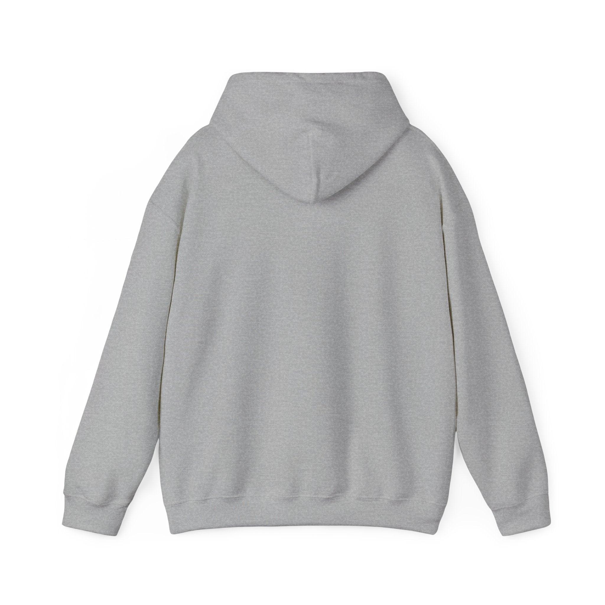 Hoodie - "Fear Is Not My Future" Inspirational Graphic Hooded Sweatshirt