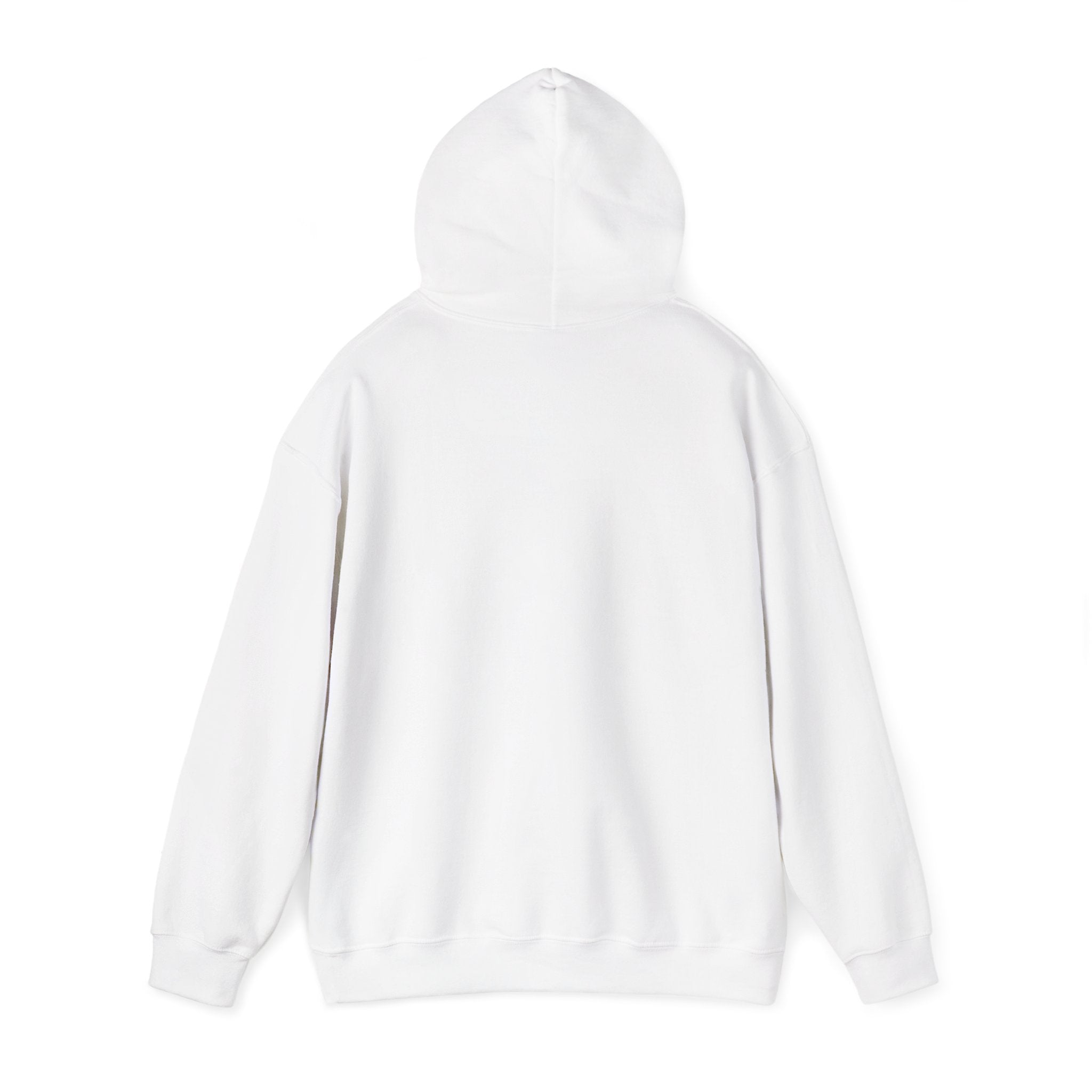 Hoodie - "Fear Is Not My Future" Inspirational Graphic Hooded Sweatshirt