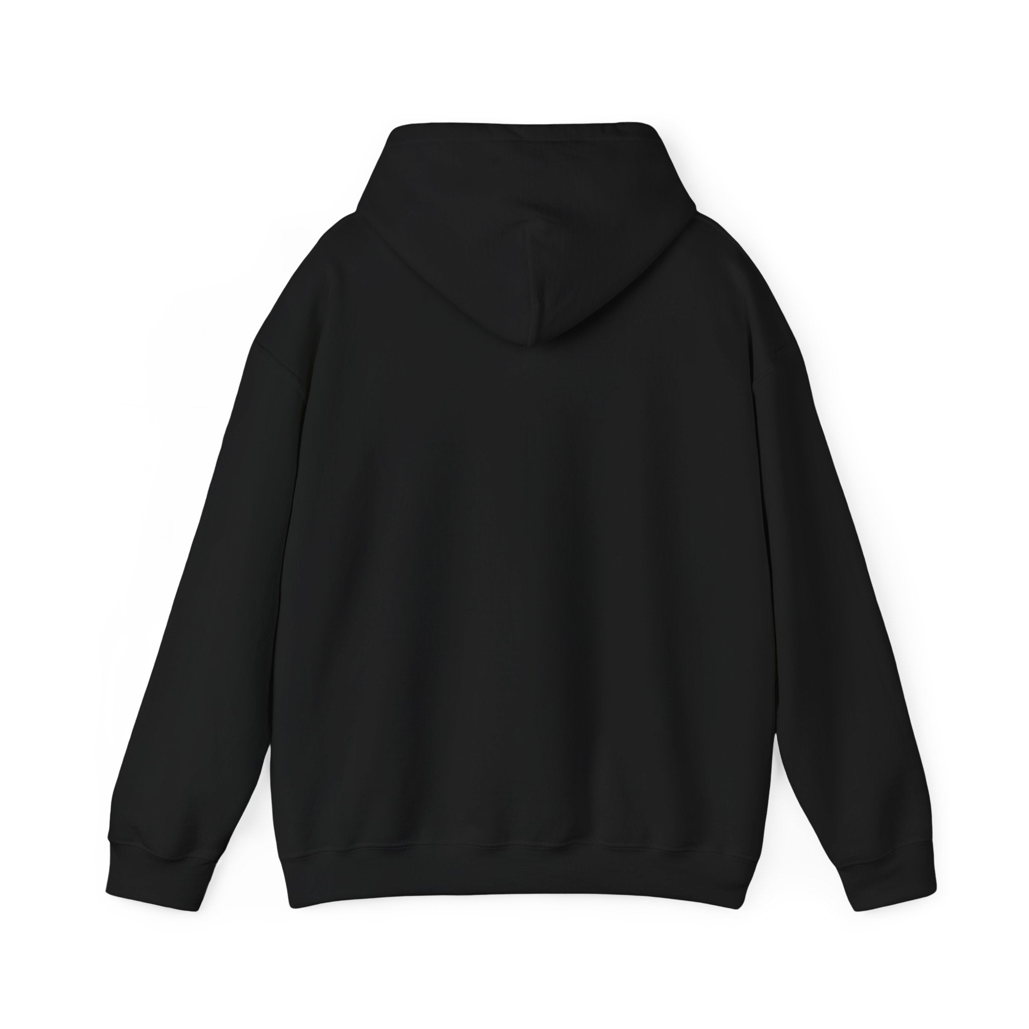 Hoodie - "Fear Is Not My Future" Inspirational Graphic Hooded Sweatshirt