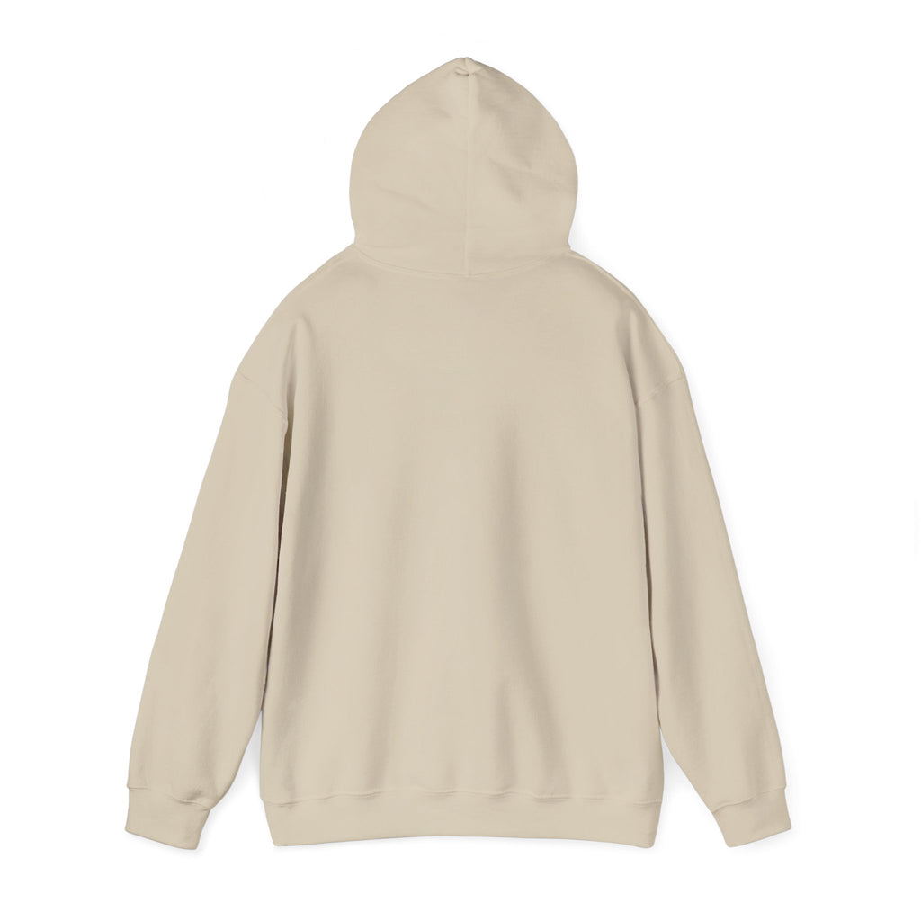 Hoodie - "Fear Is Not My Future" Inspirational Graphic Hooded Sweatshirt