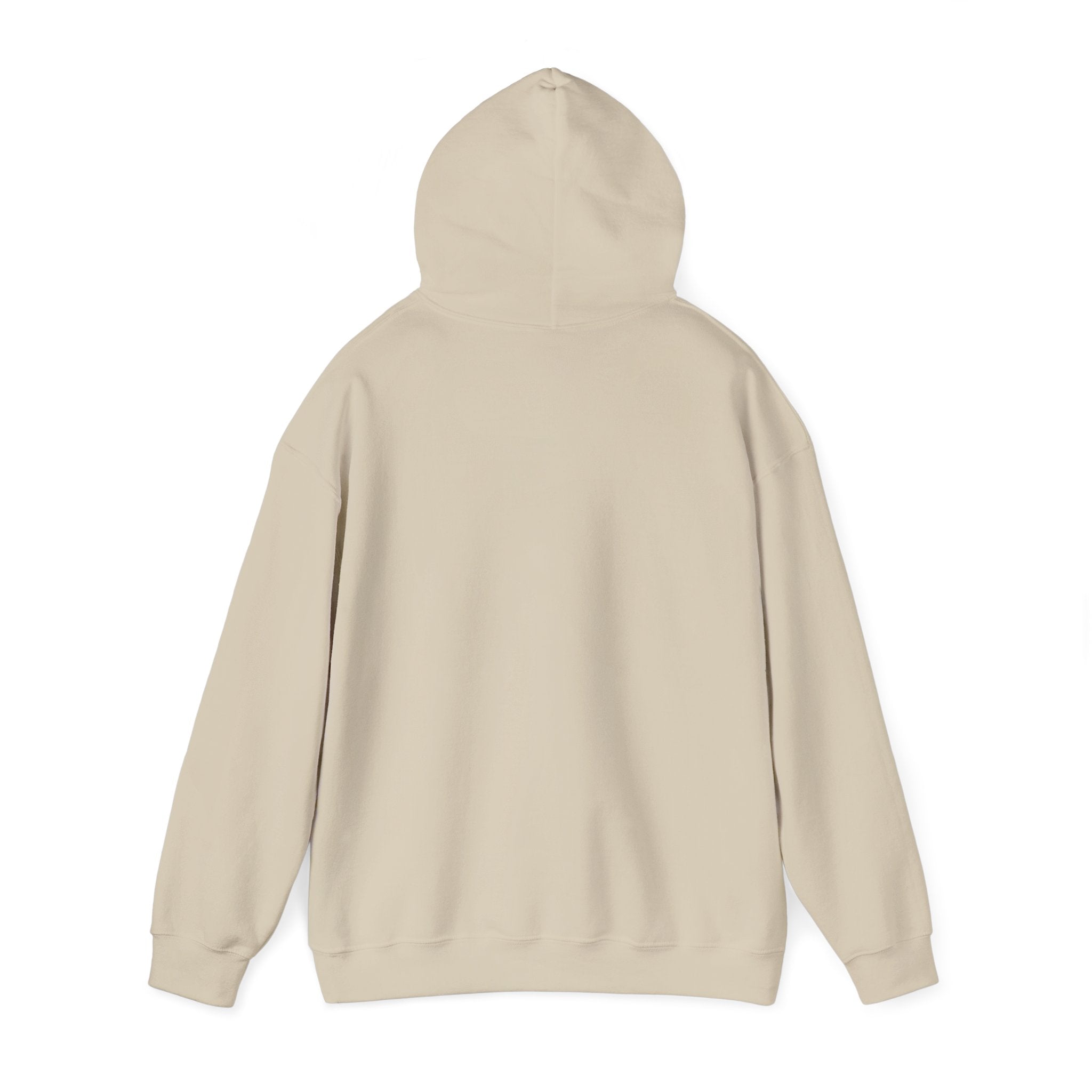 Hoodie - "Fear Is Not My Future" Inspirational Graphic Hooded Sweatshirt