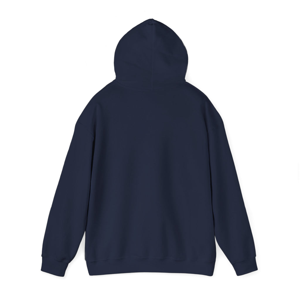 Hoodie - "Fear Is Not My Future" Inspirational Graphic Hooded Sweatshirt
