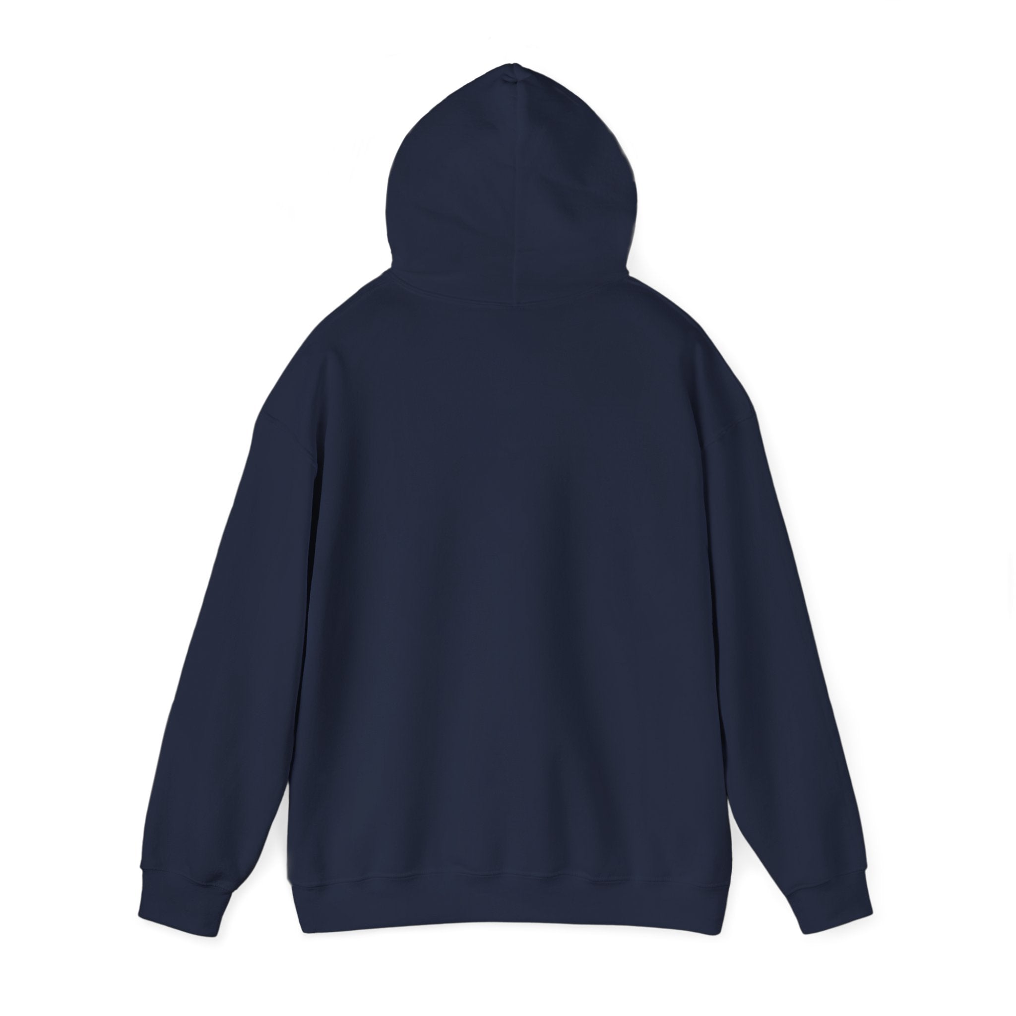 Hoodie - "Fear Is Not My Future" Inspirational Graphic Hooded Sweatshirt