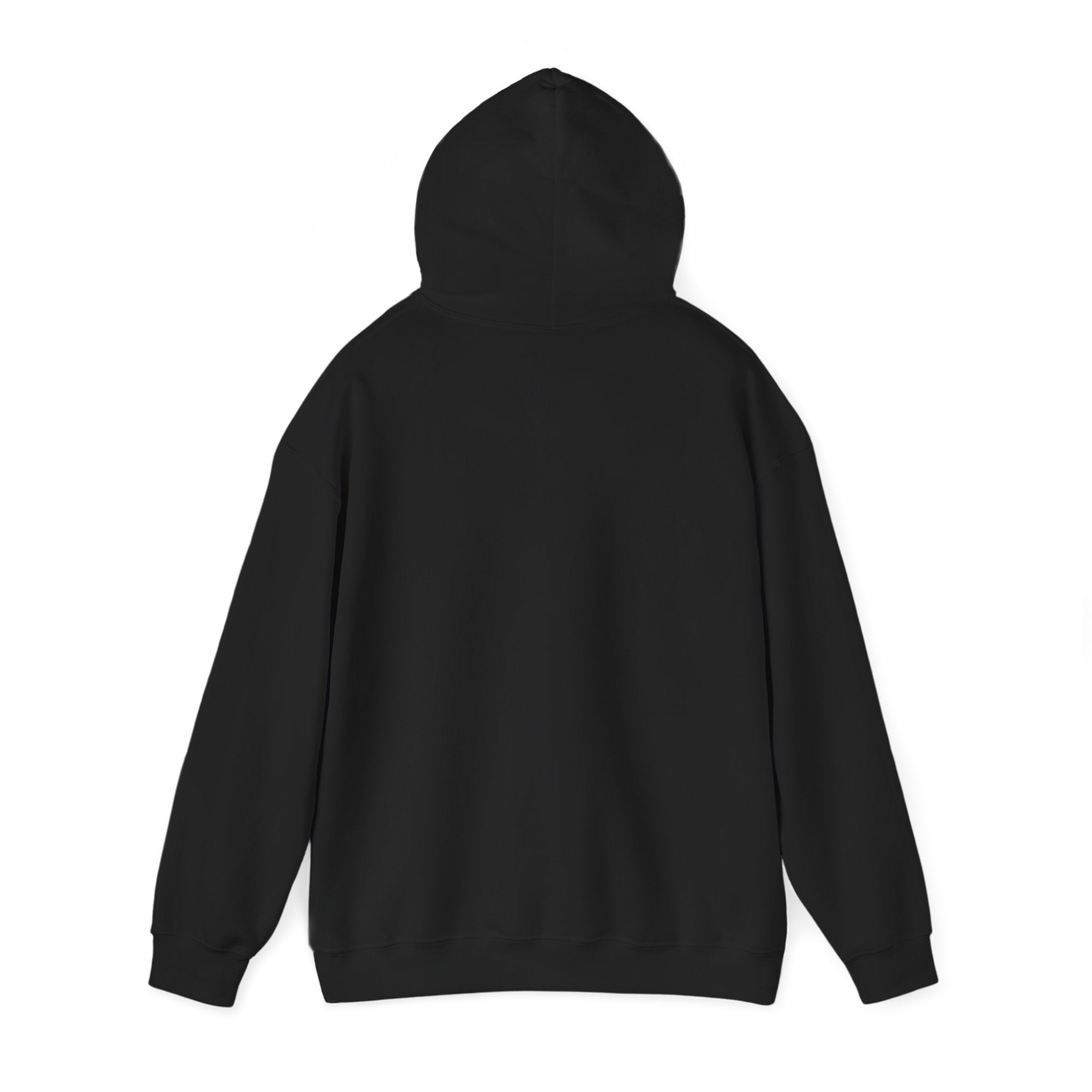 Hoodie - "Fear Is Not My Future" Inspirational Graphic Hooded Sweatshirt